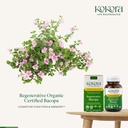 kokora-regenerative-bacopa-regenerative--3.jpg
