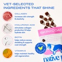 native-pet-skin-coat-chews-omega-3-fish--4.jpg