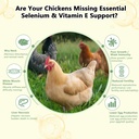 selenium-vitamin-e-powder-for-chickens-s-5.jpg