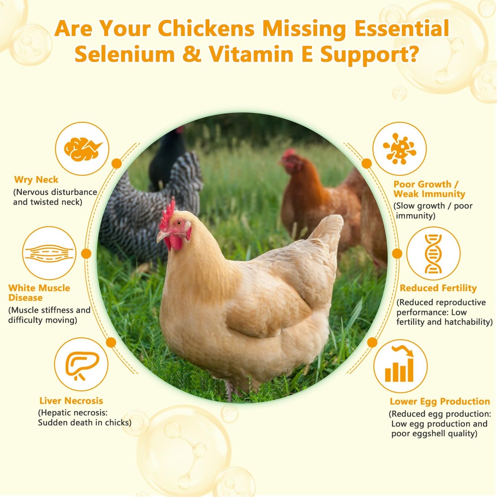 selenium-vitamin-e-powder-for-chickens-p-4.jpg