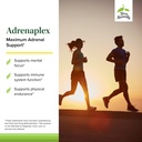 terry-naturally-adrenaplex-adrenal-gland-3.jpg