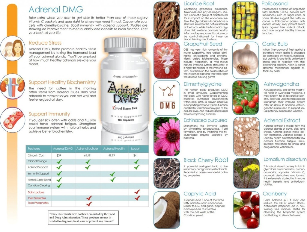 adrenal-dmg-180-capsules-support-daytime-4.jpg