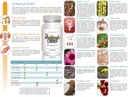adrenal-dmg-180-capsules-support-daytime-4.jpg
