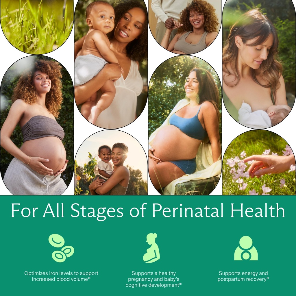 needed-prenatal-iron-supplement-pregnanc-4.jpg