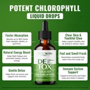 liquid-probiotic-for-women-men-kids-liqu-3.jpg