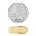 ginger-root-550-mg-ginger-root-dietary-s-6.jpg