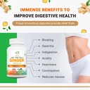 organic-aura-ginger-capsules-120-veg-cap-5.jpg
