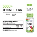 solaray-ginger-root-1100mg-healthy-diges-3.jpg