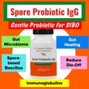 spore-probiotic-igg-by-dr-rajsree-md-spo-2.jpg