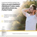 integrative-therapeutics-active-b-comple-2.jpg