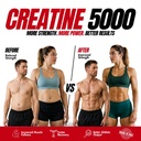 metabolic-nutrition-creatine-monohydrate-3.jpg