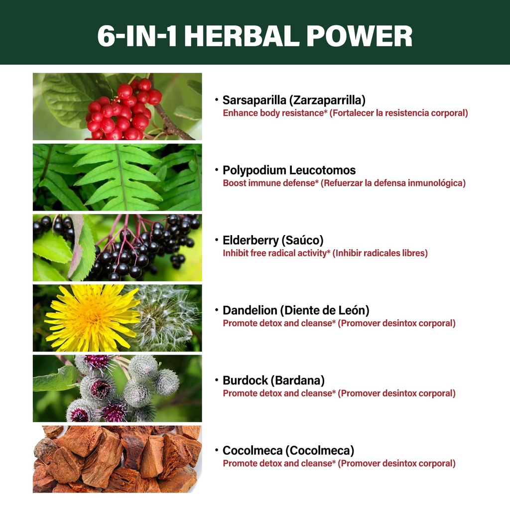 sarsaparilla-root-extract-drops-for-live-3.jpg