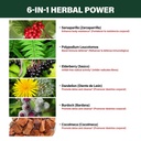 sarsaparilla-root-extract-drops-for-live-3.jpg