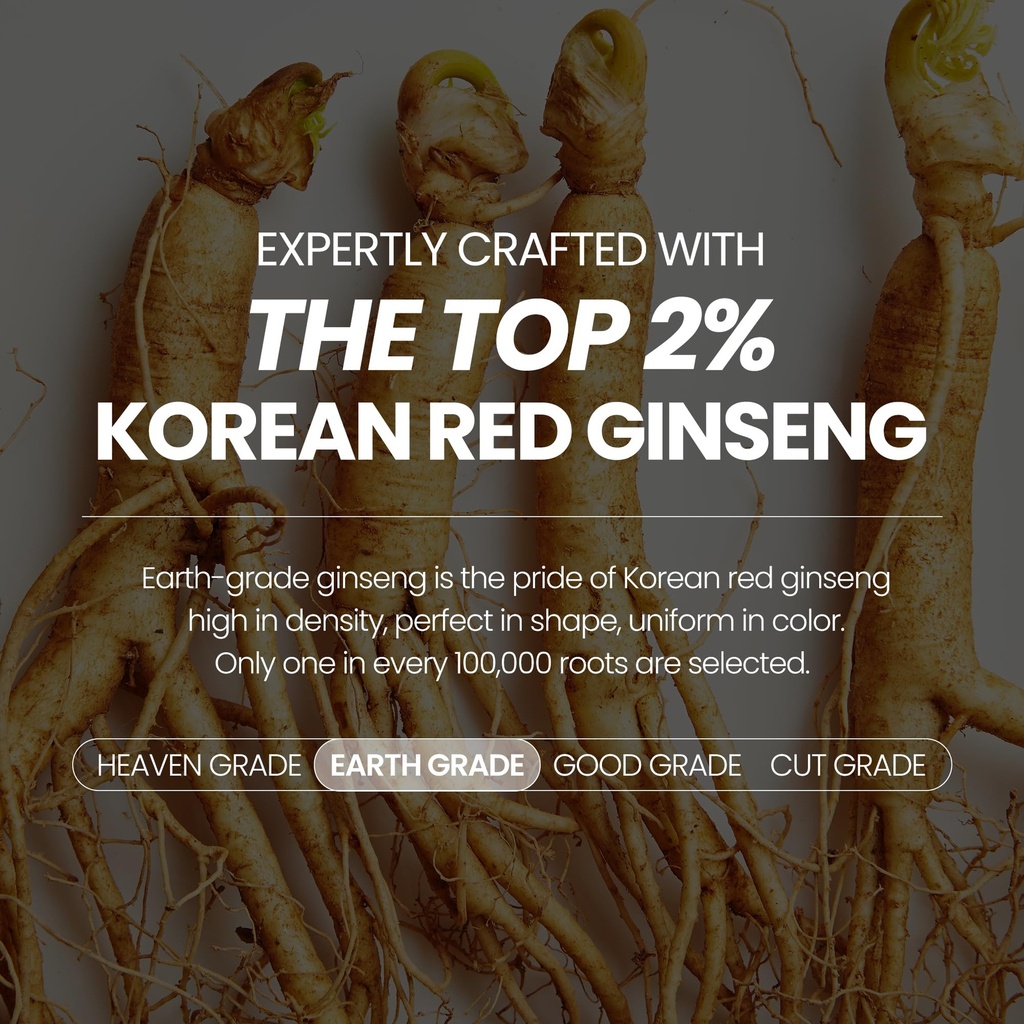 jungkwanjang-everytime-korean-red-ginsen-3.jpg