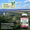 fito-medic-s-korean-ginseng-root-panax-g-6.jpg