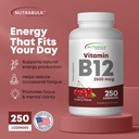 nutrabulk-vitamin-b12-2500-mcg-quick-dis-2.jpg