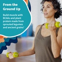 garden-of-life-organic-vegan-protein-pow-5.jpg