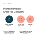 gainful-collagen-whey-protein-powder-21g-5.jpg