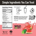 wild-society-clear-protein-powder-electr-4.jpg