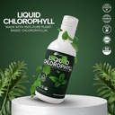 liquid-chlorophyll-20-2-fl-oz-600-ml-nat-6.jpg
