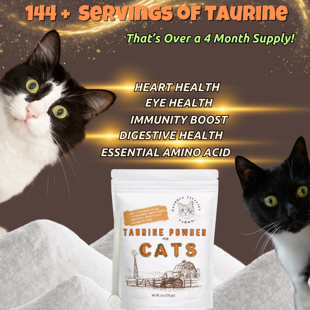 taurine-for-cats-taurine-powder-for-all--4.jpg