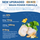 usp-methylene-blue-pharmaceutical-grade--2.jpg