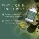 apoth-kary-your-wildest-greens-herbal-li-5.jpg