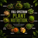 organic-muscle-super-greens-powder-super-6.jpg