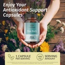 herbamama-pine-bark-extract-capsules-400-2.jpg