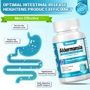 akkermansia-probiotic-probiotics-for-wom-3.jpg