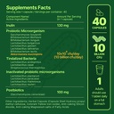 anocin-akkermansia-muciniphila-probiotic-4.jpg