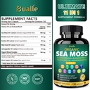 organic-sea-moss-capsules-11-in-1-irish--2.jpg
