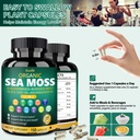 organic-sea-moss-capsules-11-in-1-irish--6.jpg