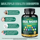 organic-sea-moss-capsules-11-in-1-irish--4.jpg