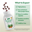 andrew-lessman-prostate-support-suppleme-4.jpg