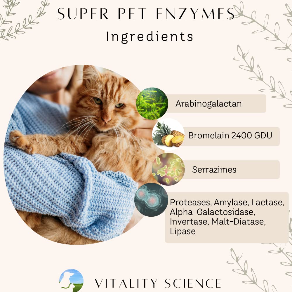 vitality-science-cat-longevity-3-part-vi-5.jpg