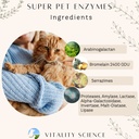vitality-science-cat-longevity-3-part-vi-5.jpg