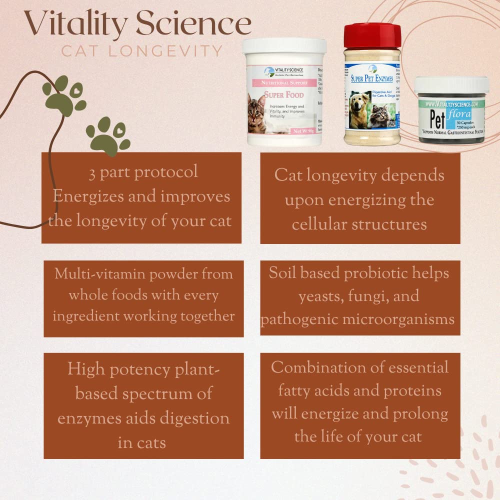 vitality-science-cat-longevity-3-part-vi-2.jpg