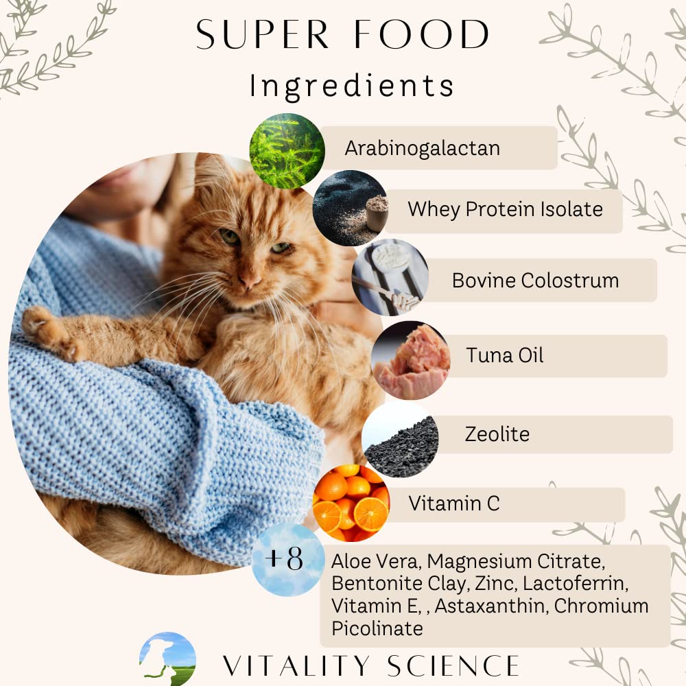 vitality-science-cat-longevity-3-part-vi-3.jpg