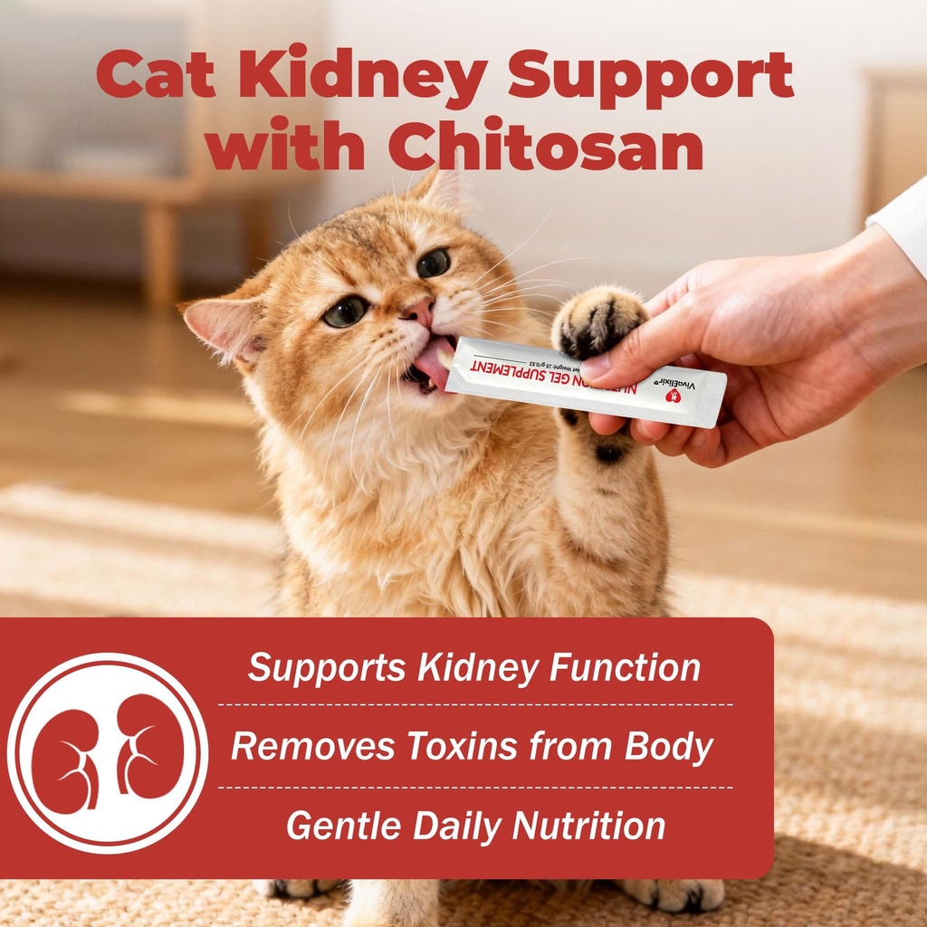 cat-kidney-support-chitosan-l-lysine-boo-2.jpg