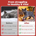 cat-kidney-support-chitosan-l-lysine-boo-6.jpg