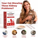 cat-kidney-support-chitosan-l-lysine-boo-4.jpg