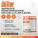 performix-creatine-monohydrate-5000-mg-p-2.jpg
