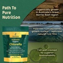 biogenesis-organic-chlorella-mini-tablet-5.jpg