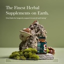 gaia-herbs-reishi-mushroom-traditionally-2.jpg