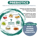 vital-planet-vital-flora-immune-support--5.jpg