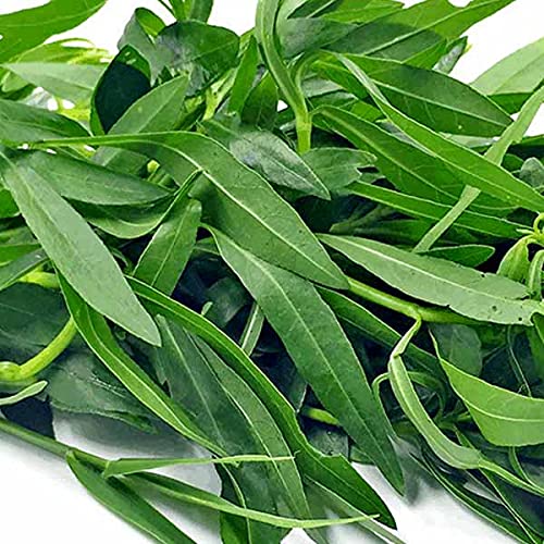 foodherbs-ponnangani-powder-200-gms-0-44-2.jpg