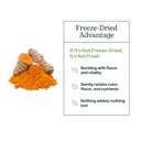 eclectic-herb-organic-turmeric-powder-jo-5.jpg