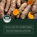 eclectic-herb-organic-turmeric-powder-jo-6.jpg