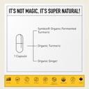 living-alchemy-turmeric-ginger-supplemen-3.jpg